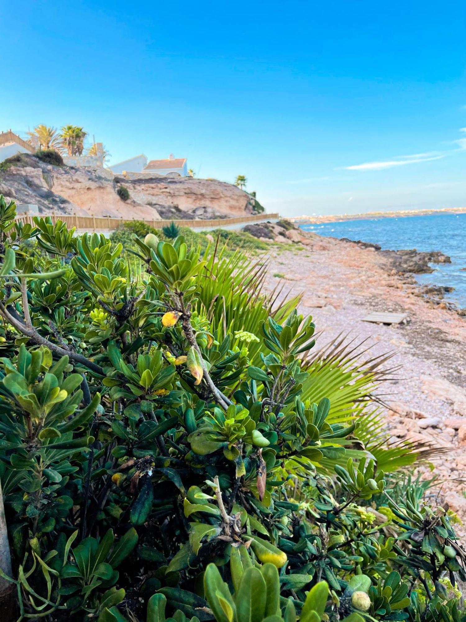 Hola Blanca - Sea, Golf, Chill Lägenhet Dehesa de Campoamor  Exteriör bild