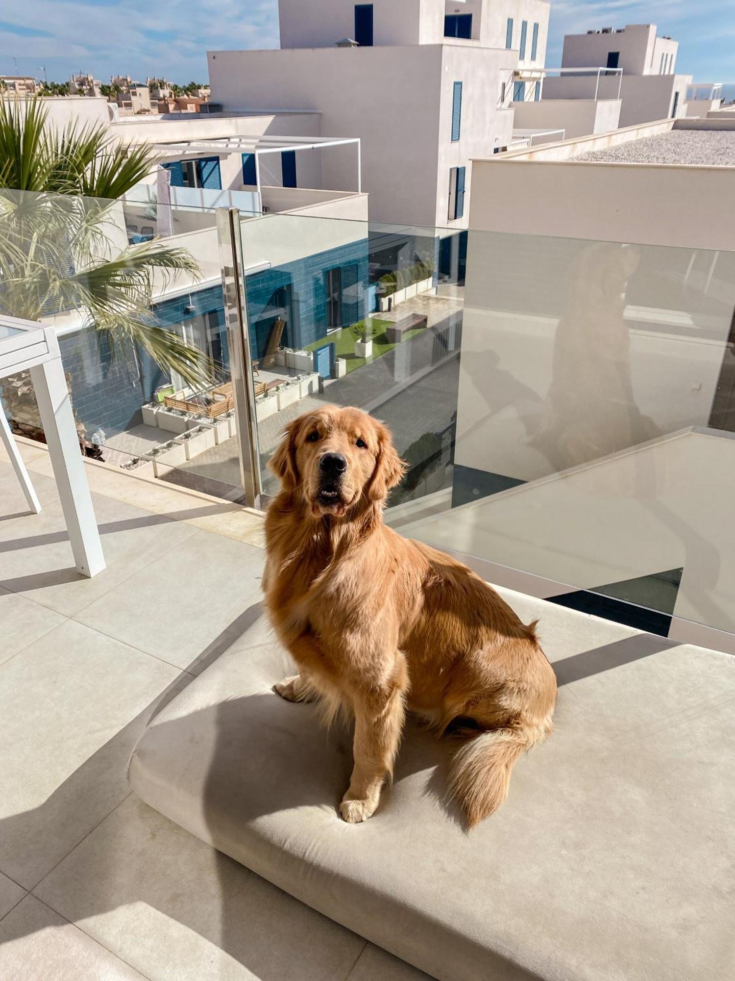 Hola Blanca - Sea, Golf, Chill Lägenhet Dehesa de Campoamor  Exteriör bild