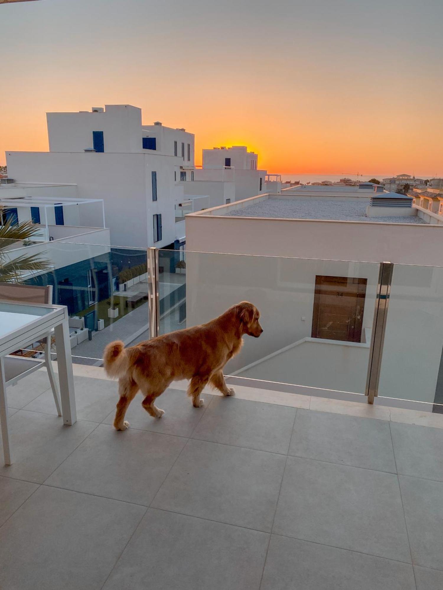 Hola Blanca - Sea, Golf, Chill Lägenhet Dehesa de Campoamor  Exteriör bild